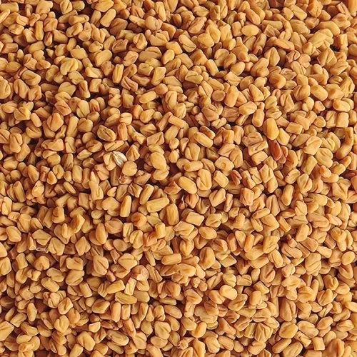 500-methi-dana-whole-fenugreek-seeds-fresh-natural-dried-original-imagy8sbk66gb7bs